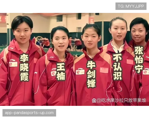 王楠家的乒乓球台是镶金边的吗？