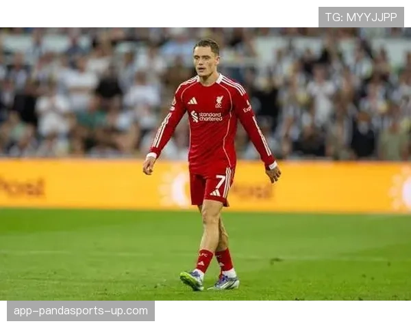 维尔茨赛季数据表现如何体现比赛影响力？