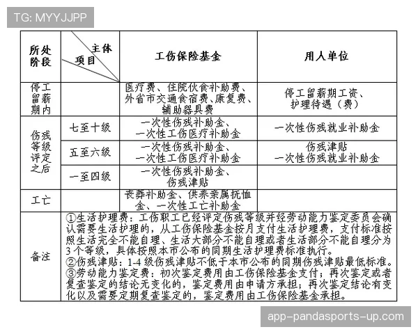 伤停补时规则详解：裁判如何根据比赛中断情况决定补时长度