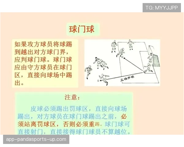 球门球规则详解：判罚条件与操作规范全解析