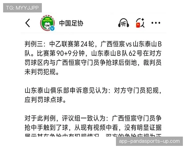 比赛申诉中的规则依据与裁判判罚复核流程解析