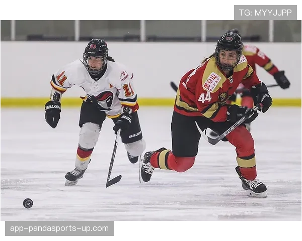 模拟犯规判罚为何频频争议，裁判如何准确识别规则界限？