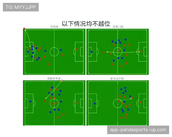 犯规种类与裁判判罚标准：区分普通犯规、危险动作和黄红牌