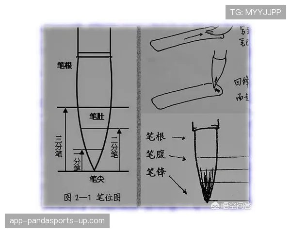 越位规则中的判罚标准及关键判断细节解析